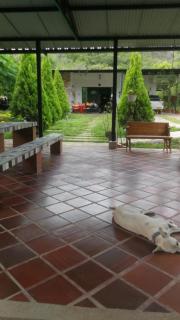 Villa Anita - Acuérdate de Mi. - 3