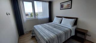 Ainil Apartment - Valdivia - 2