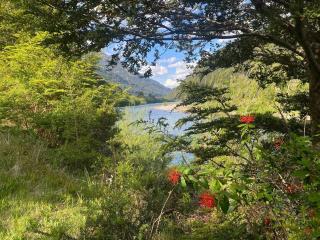 Refugio Macales - Ecocabañas - Puerto Dunn - 5