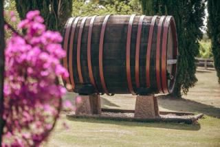 Finca del Sacramento - Colonia del Sacramento - 8