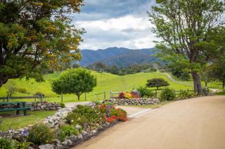 Henkley Cottage 1 Isaiah - Central Tilba - 8