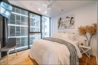 Modern Compact Studio Separate Bathroom - Brisbane - 0