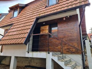 Šumor šume - Tara - 9