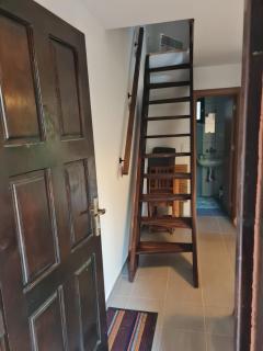 Šumor šume - Tara - 4