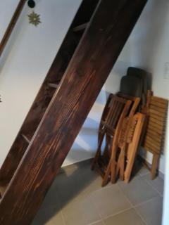 Šumor šume - Tara - 2