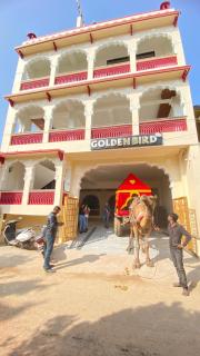 Golden Bird Pushkar - Pushkar - 0