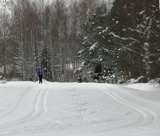 Rivitalon pieni päätykaksio - 37 m2 - 2