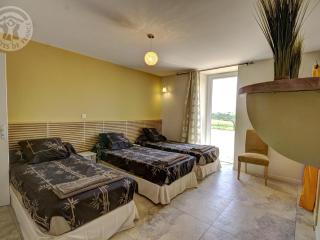 Gîte de luxe avec spa, piscine et sauna, animaux admis à Pinay - FR-1-496-274 - Pinay - 3