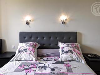 Gîte de luxe avec spa, piscine et sauna, animaux admis à Pinay - FR-1-496-274 - Pinay - 1