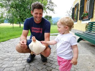 Weslhof - Attersee am Attersee - 7
