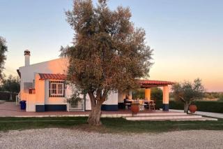 Casa das Oliveiras - Aviz - 5