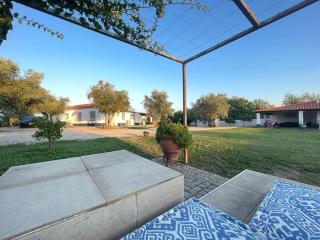 Casa das Oliveiras - Aviz - 4