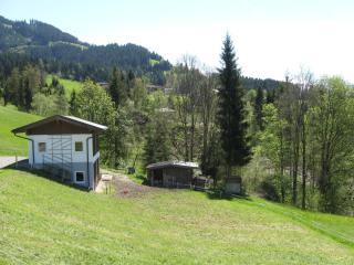 Haus Steinlechner - Westendorf - 3