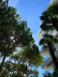 Hotel Greif - Lignano Sabbiadoro - 8