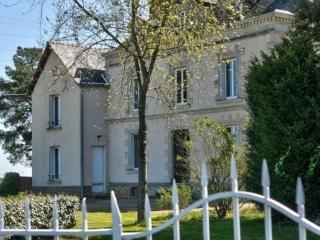 Gîte spacieux au cœur d'un vignoble avec sauna, cheminée et jardin privatif, vallée du Layon - FR-1-622-49 - Le Champ-sur-Layon - 0