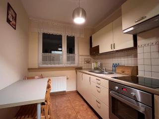 Komfortowy apartament w Ustroniu, 57m2, dwie sypialnie, darmowy ogrodzony parking, osobna kuchnia, blisko Czantoria i szlaki piesze - Ustroń - 4
