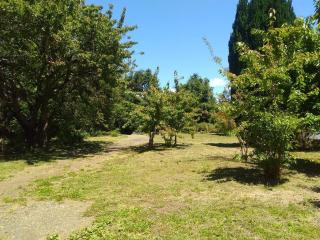 cabaña rustica pucon - 4