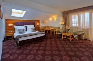 Kempinski Hotel Grand Arena Bansko - Bansko - 9