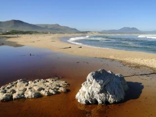 Our Nest Guest House - Kleinmond - 7