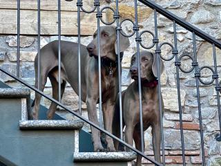 Heidi Bed and Breakfast - 1