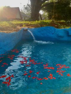 Croft Yelagiri - glamping stay - Yelagiri - 9