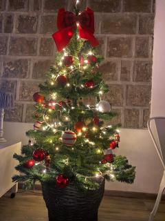 L'Albero della Vita - Viterbo - 5