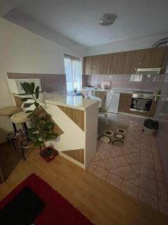 Apartment Rea Ilidža - Sarajevo - 8