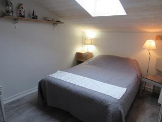 Appartement Grand Calypso - Frontignan - 1