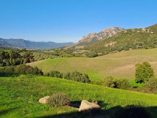 Ferme de Roccapina - Sarragia - 6