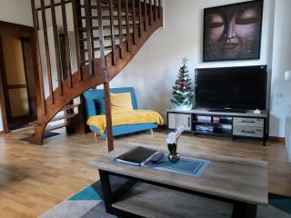 Beau duplex à proximité du lac de Gérardmer avec place de parking - Gérardmer - 6