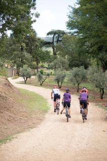 Torre de Can Puig - Girona - 4