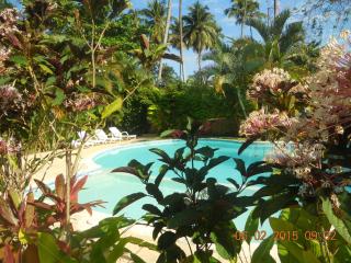 Caoba - Las Terrenas - 8