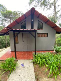 Koi's House - Quebradillas de Dota - Santa María - 0