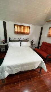 Koi's House - Quebradillas de Dota - Santa María - 6