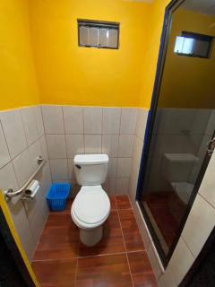 Koi's House - Quebradillas de Dota - Santa María - 1