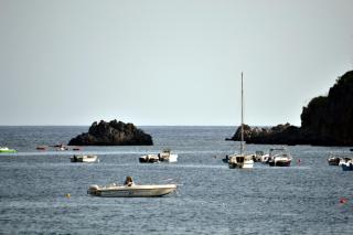 Hotel Rex - Praia a Mare - 3