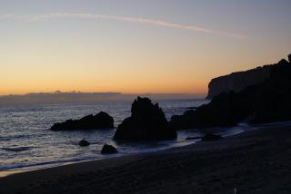 Hotel Rex - Praia a Mare - 2