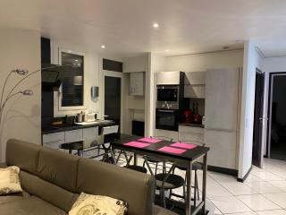 VILLA LUXUEUSE - Tarbes - 6