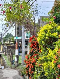 Duma Hostel - 2