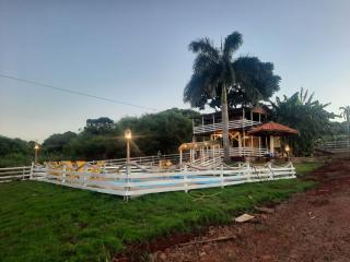 A casa da arvore no Parana - - 0
