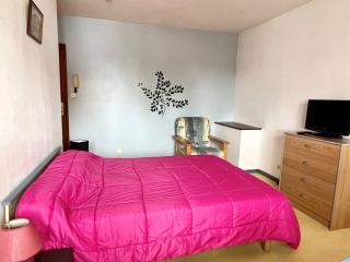Studio confortable avec literie 140, cuisine équipée, parking à Cambo-les-Bains, sans internet - FR-1-495-120 - Cambo-les-Bains - 7