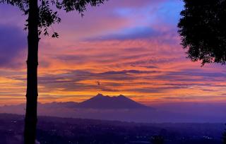 Alinson Sunset Hill - Bogor - 1