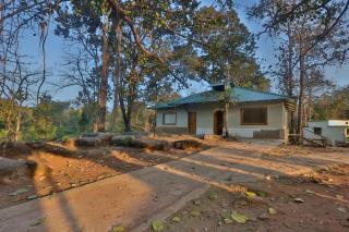 Bison Retreat - Pench - 2