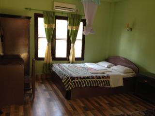 Sauraha Resort - Sauraha - 7