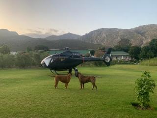 Montagu Vines Guesthouse - Montagu - 6