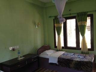Sauraha Resort - Sauraha - 6