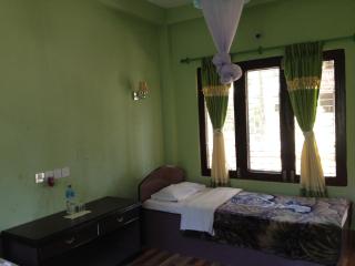 Sauraha Resort - Sauraha - 5