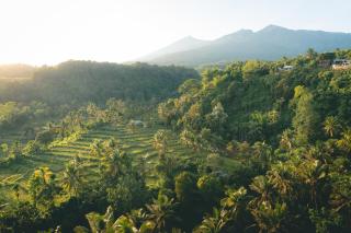 GREEN RINJANI - Bayan - 1