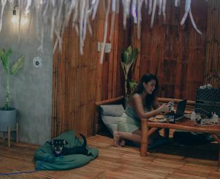 Casitas Stay and Surf - Baler - 2