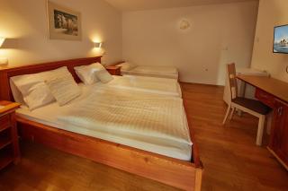 Rute Hotel and Apartments - Kranjska Gora - 1